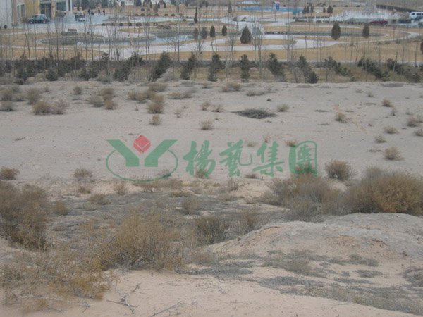 首页- 人生就是博中国官网入口