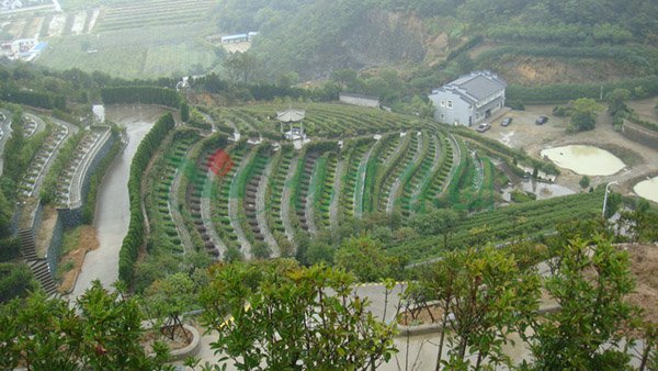 首页- 人生就是博中国官网入口