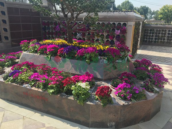 首页- 人生就是博中国官网入口