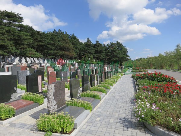 首页- 人生就是博中国官网入口