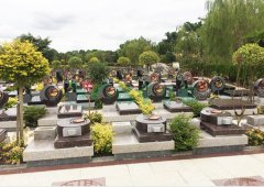 上；懔靶腔鹎