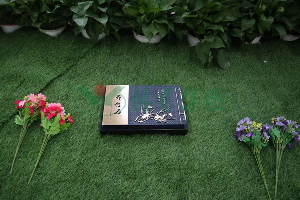 首页- 人生就是博中国官网入口