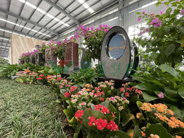 首页- 人生就是博中国官网入口