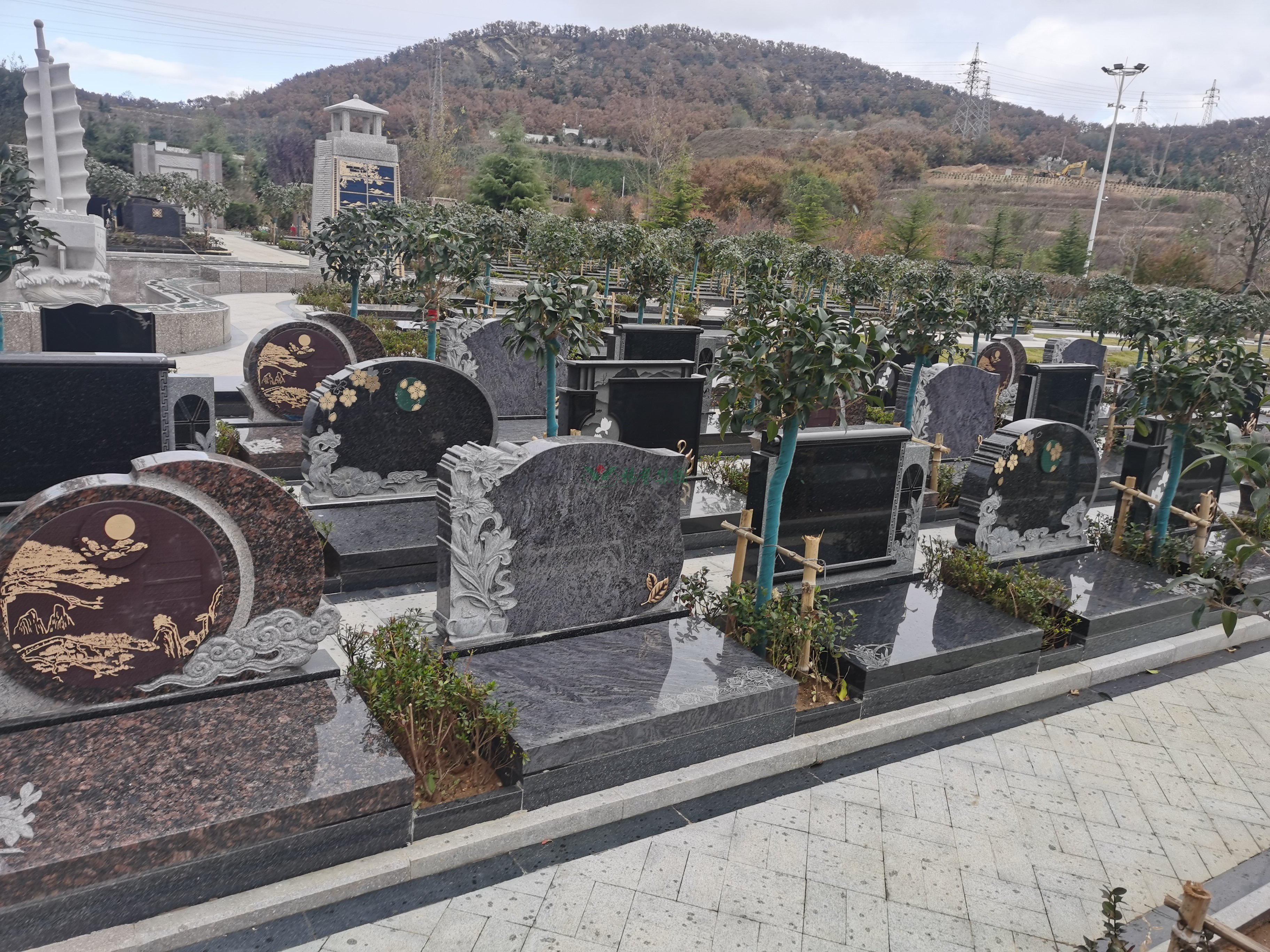 首页- 人生就是博中国官网入口