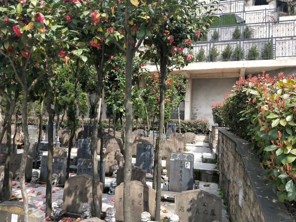 首页- 人生就是博中国官网入口