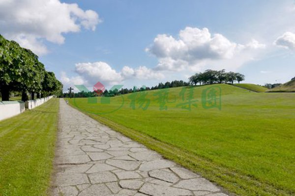 首页- 人生就是博中国官网入口