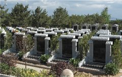 有一种墓碑，叫文化