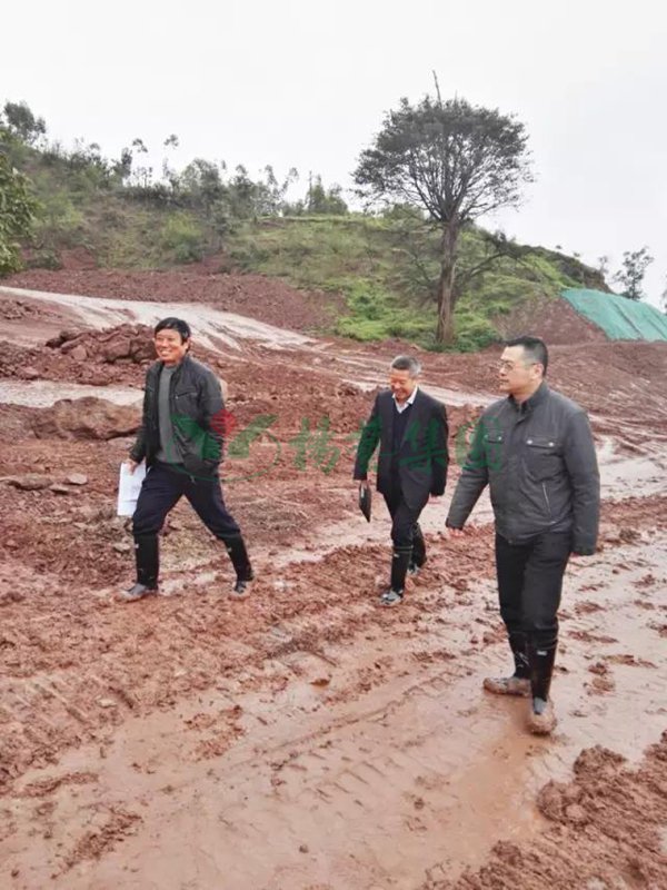 首页- 人生就是博中国官网入口