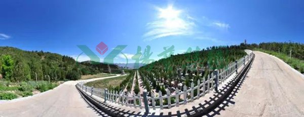 首页- 人生就是博中国官网入口