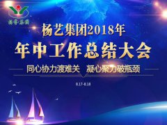 人生就是博官网集团2018年中总结汇报（提要）