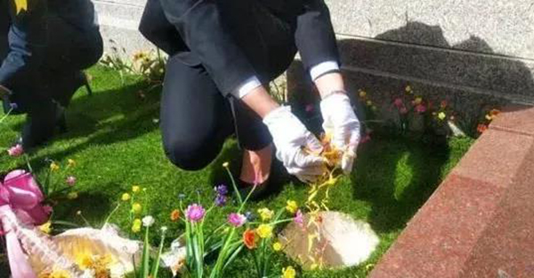 首页- 人生就是博中国官网入口