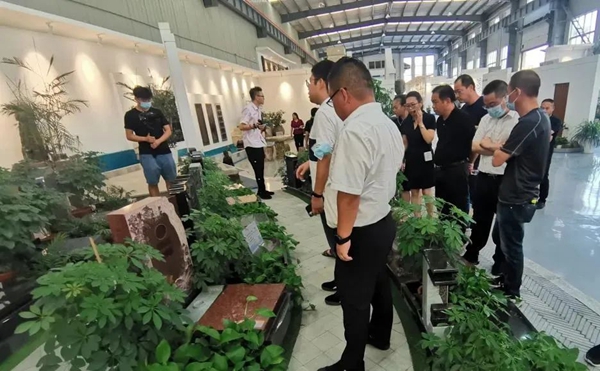 首页- 人生就是博中国官网入口