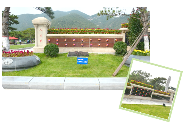 首页- 人生就是博中国官网入口