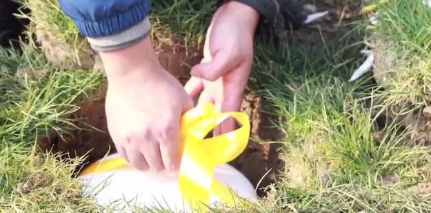 首页- 人生就是博中国官网入口