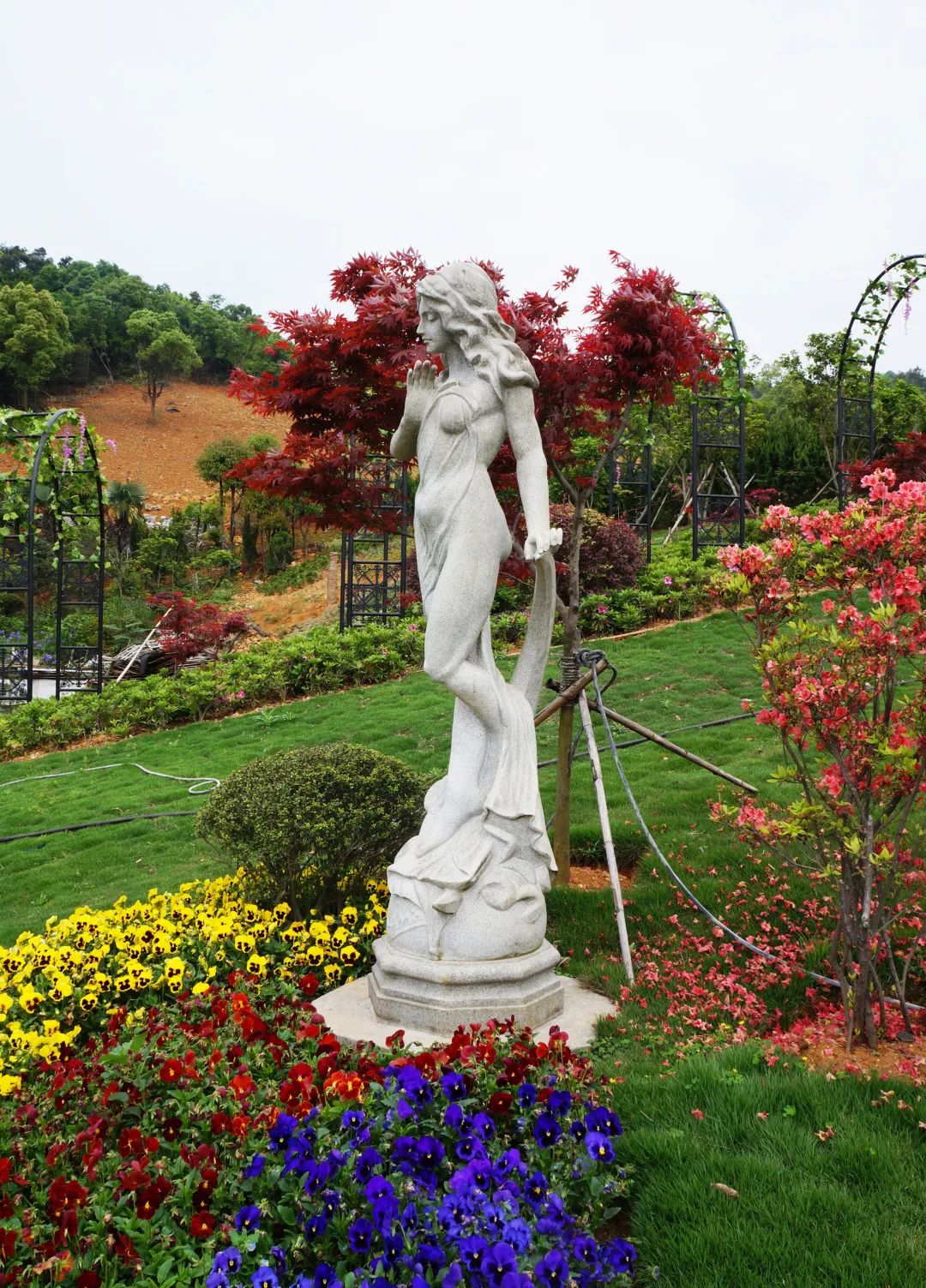 首页- 人生就是博中国官网入口