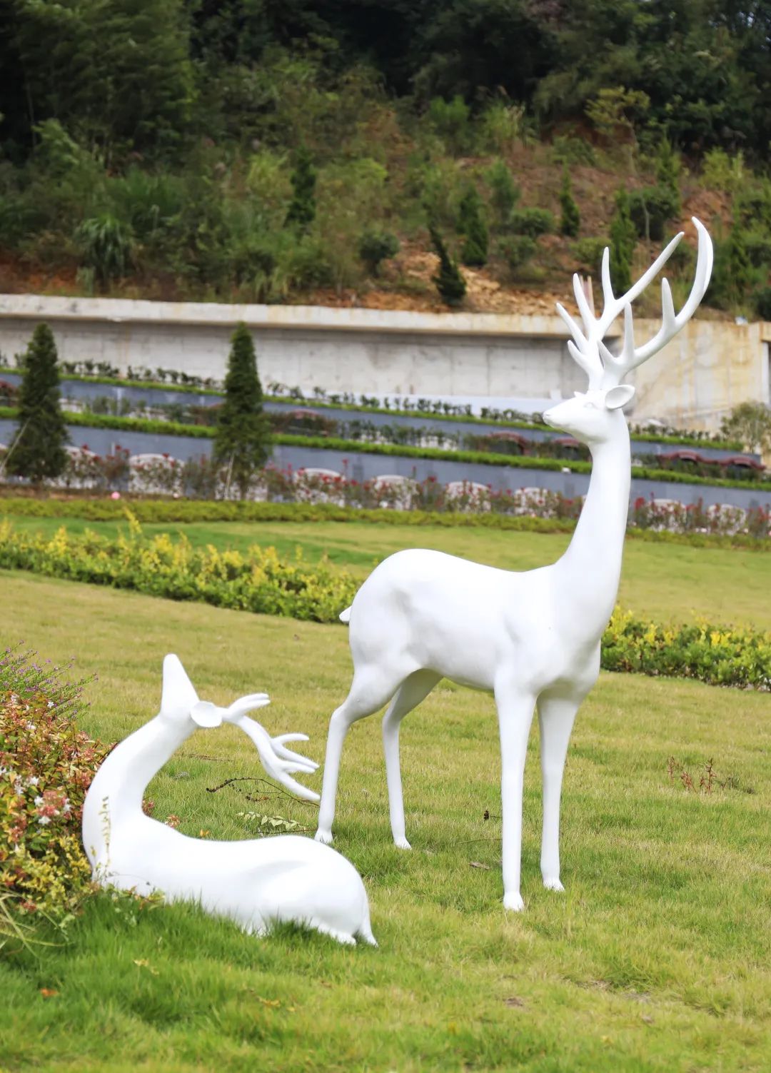 首页- 人生就是博中国官网入口