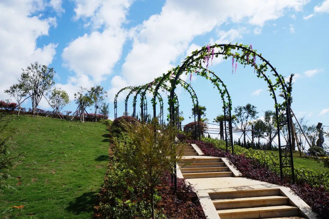 首页- 人生就是博中国官网入口