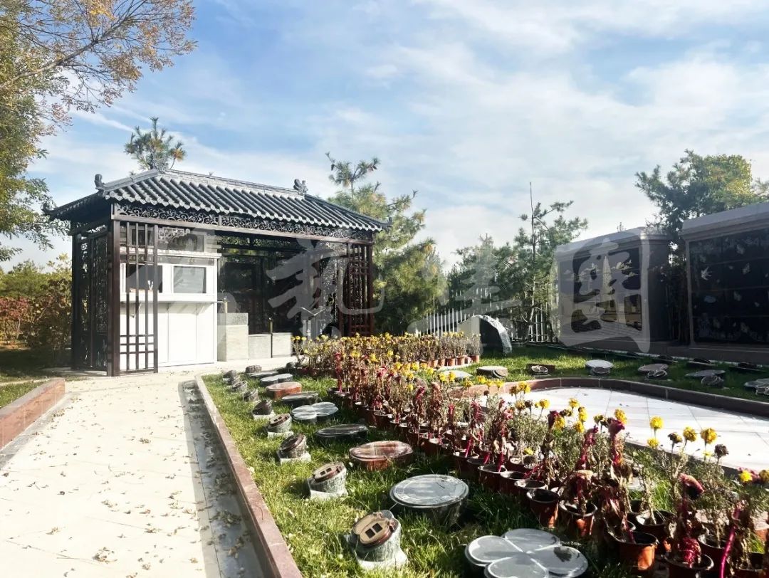 首页- 人生就是博中国官网入口