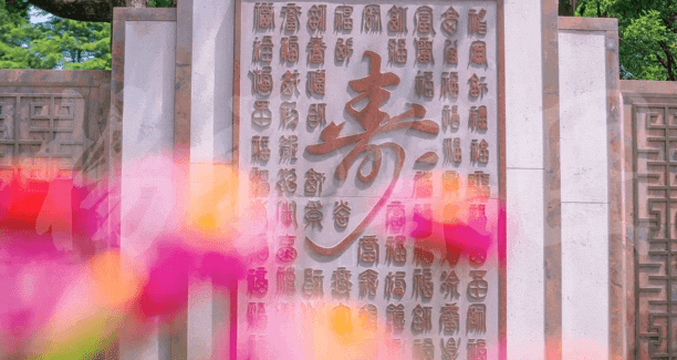 首页- 人生就是博中国官网入口