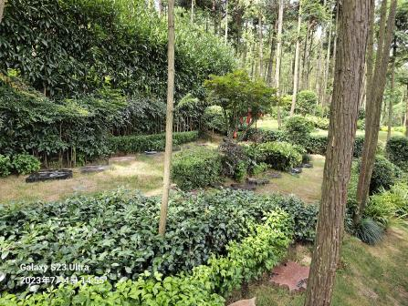 首页- 人生就是博中国官网入口