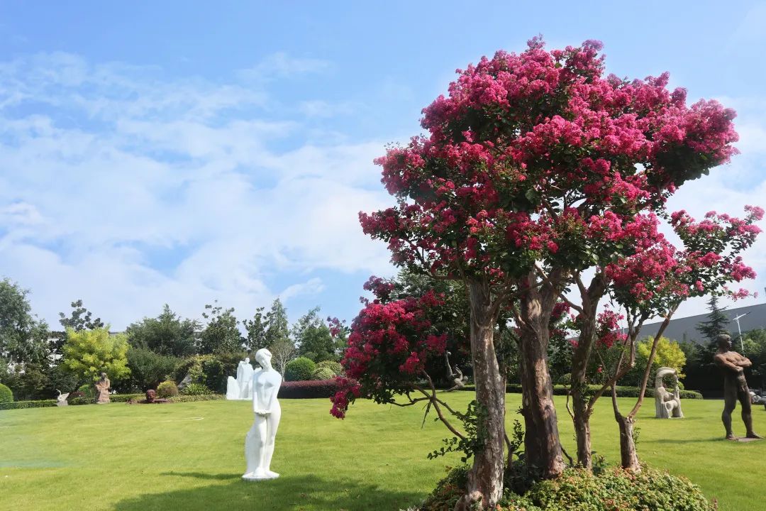 首页- 人生就是博中国官网入口