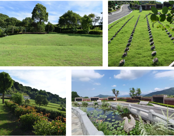 首页- 人生就是博中国官网入口