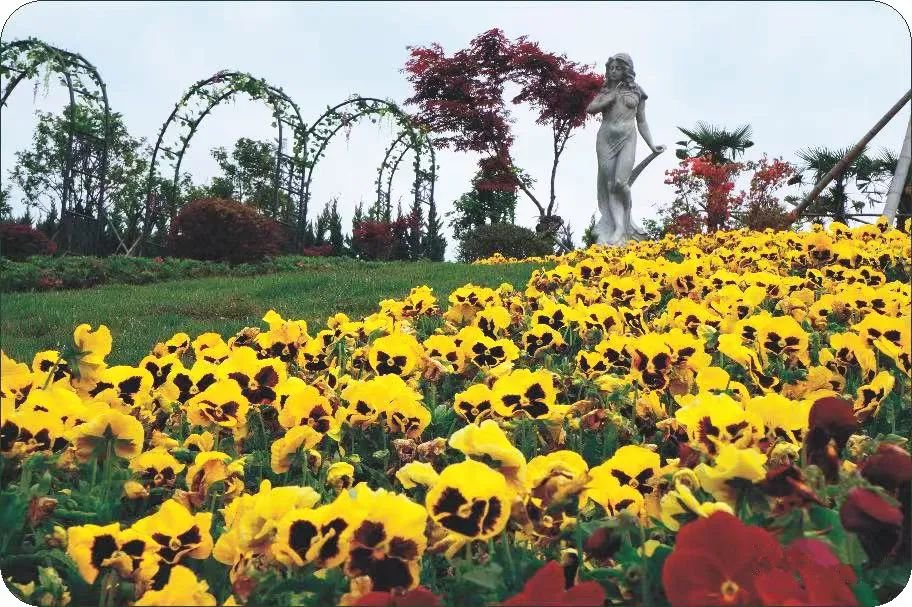 首页- 人生就是博中国官网入口