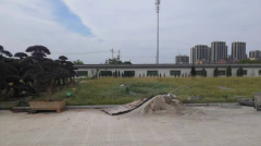 老墓园微刷新，助力城市人文关切