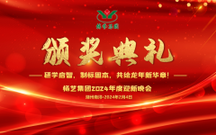 2024年人生就是博官网集团迎新春年会暨颁奖典礼盛猛进行