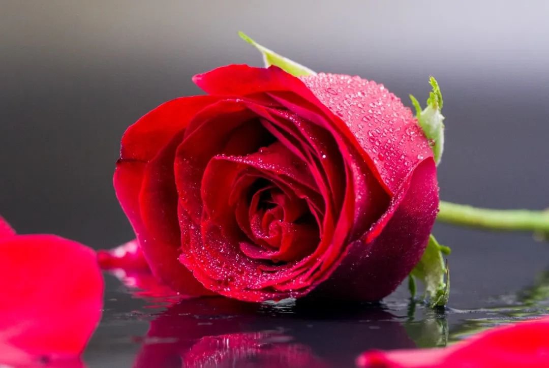 女神节 | 致敬“她”力量，共筑美好将来