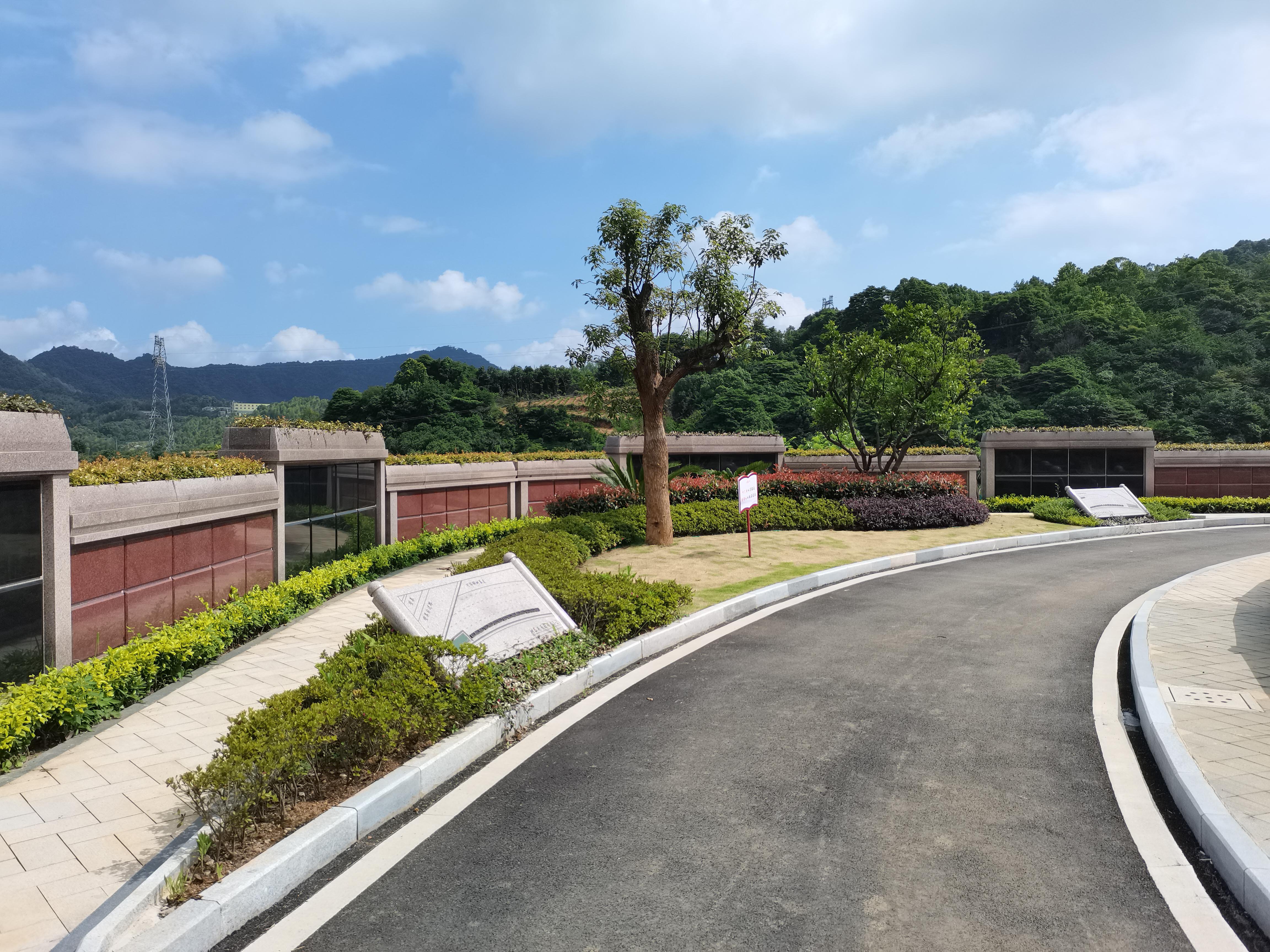 海葬和树葬哪个好？两种生态葬祭方式的选择与意思