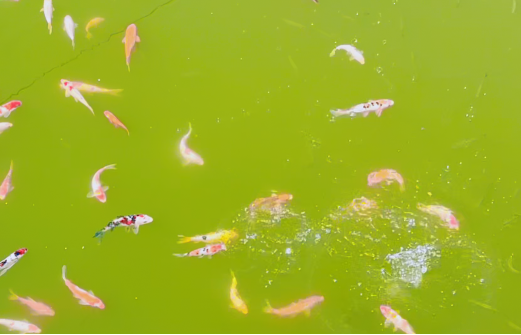 首页- 人生就是博中国官网入口