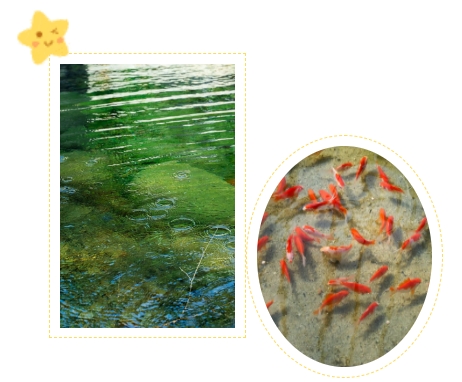 首页- 人生就是博中国官网入口