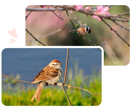 首页- 人生就是博中国官网入口