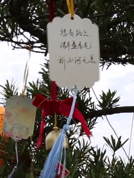 首页- 人生就是博中国官网入口