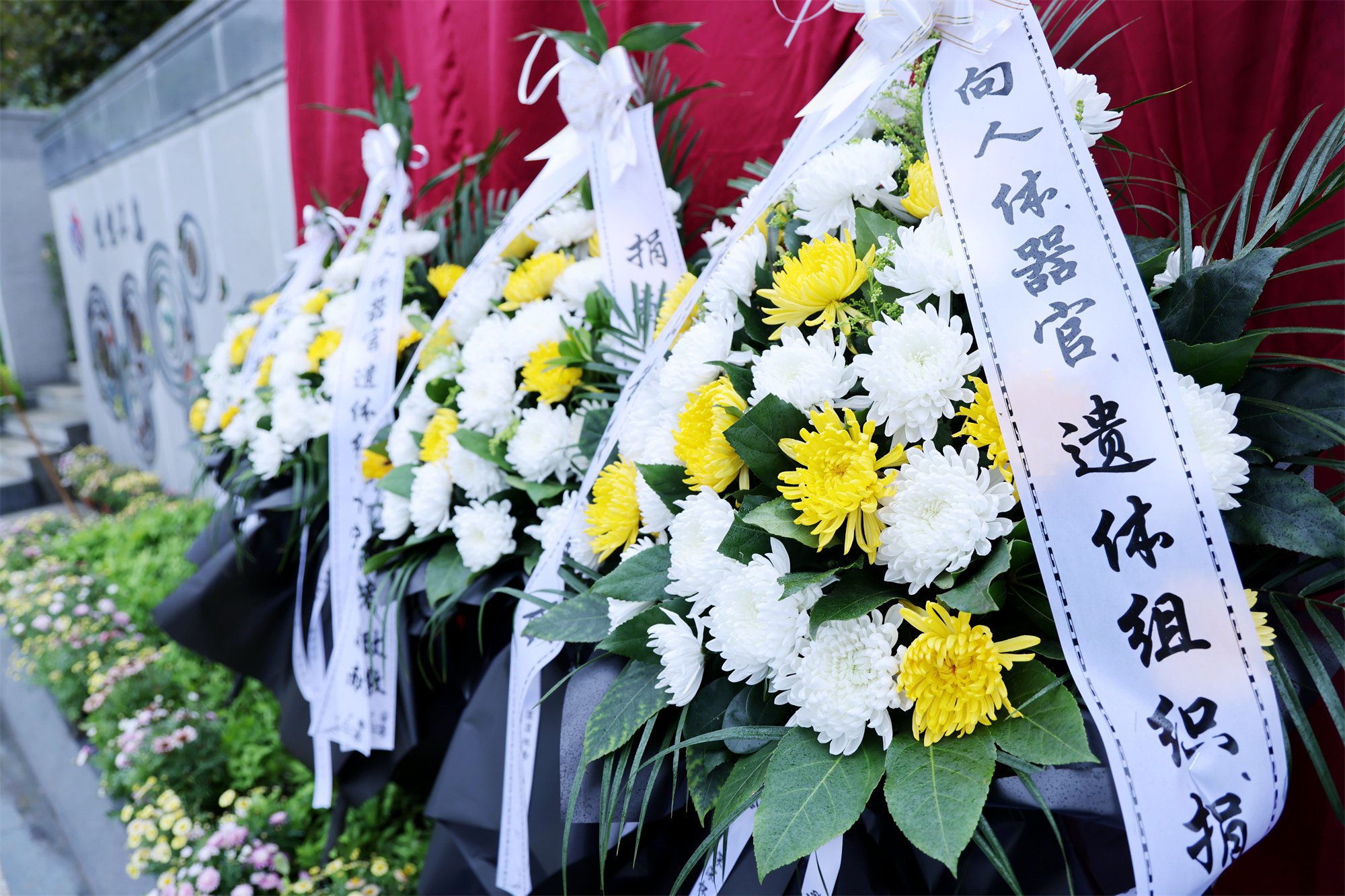 首页- 人生就是博中国官网入口