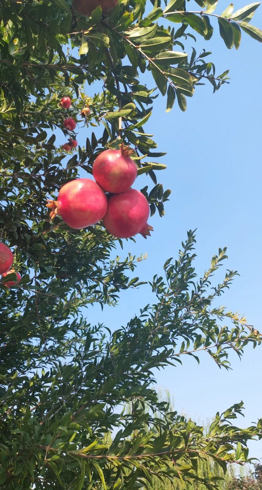 首页- 人生就是博中国官网入口