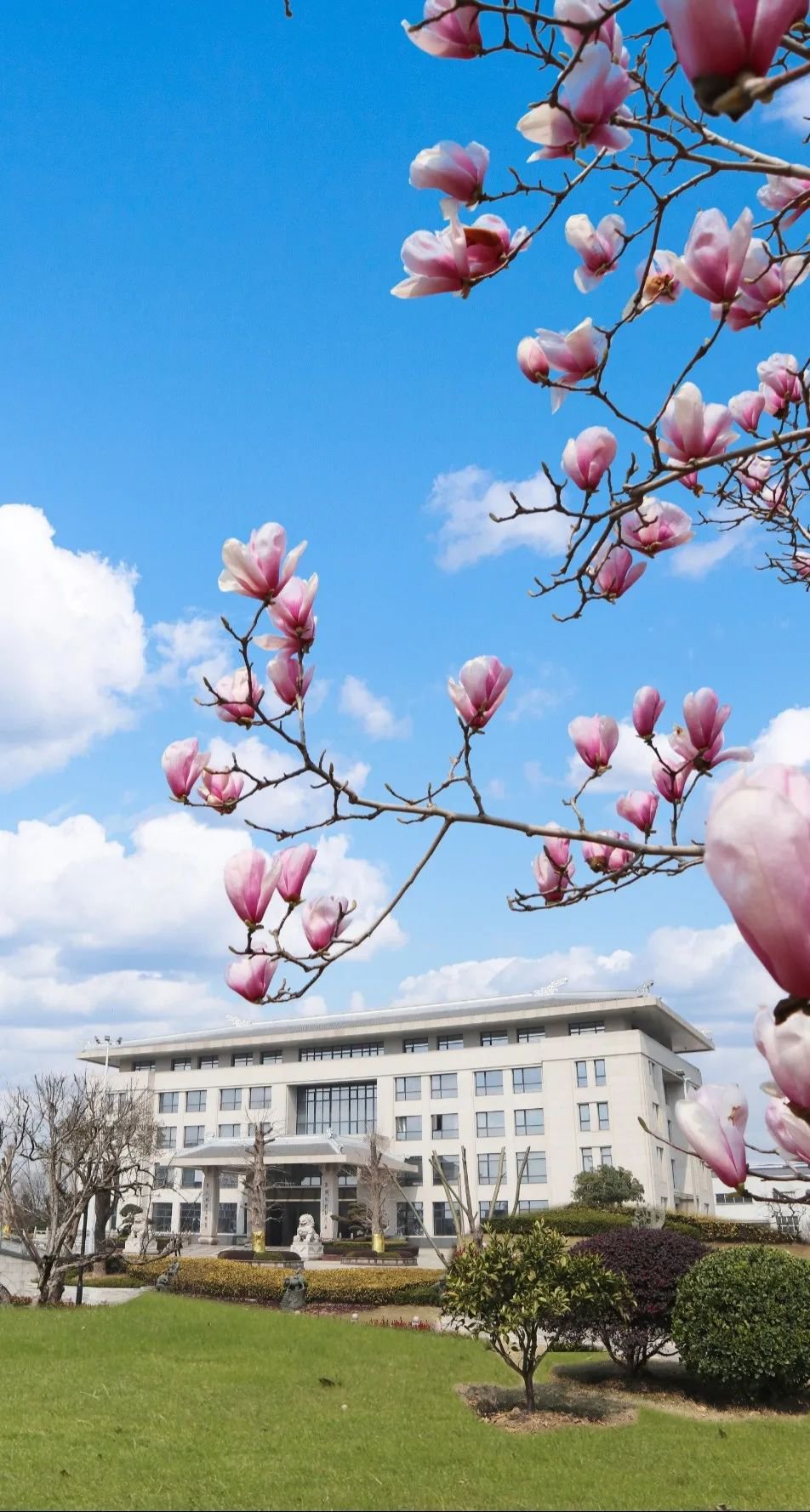 首页- 人生就是博中国官网入口