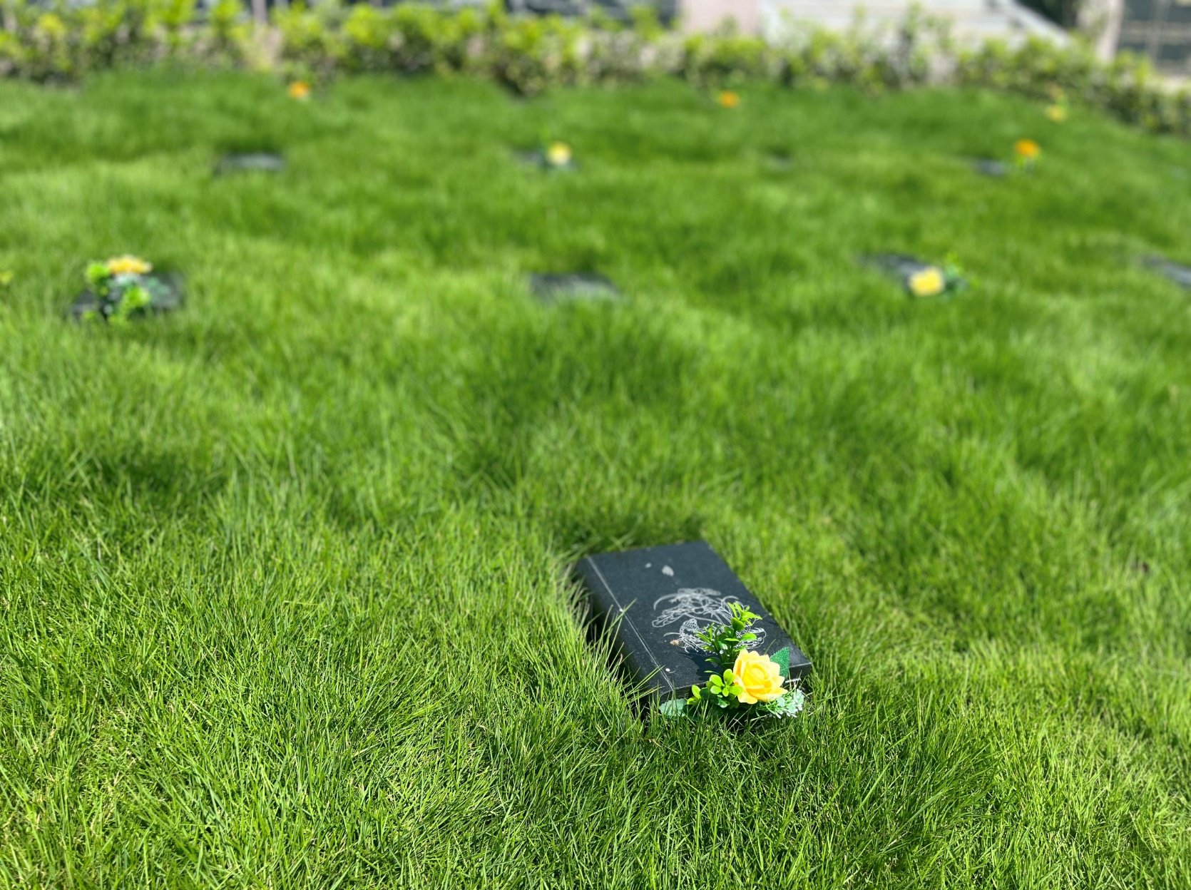 首页- 人生就是博中国官网入口