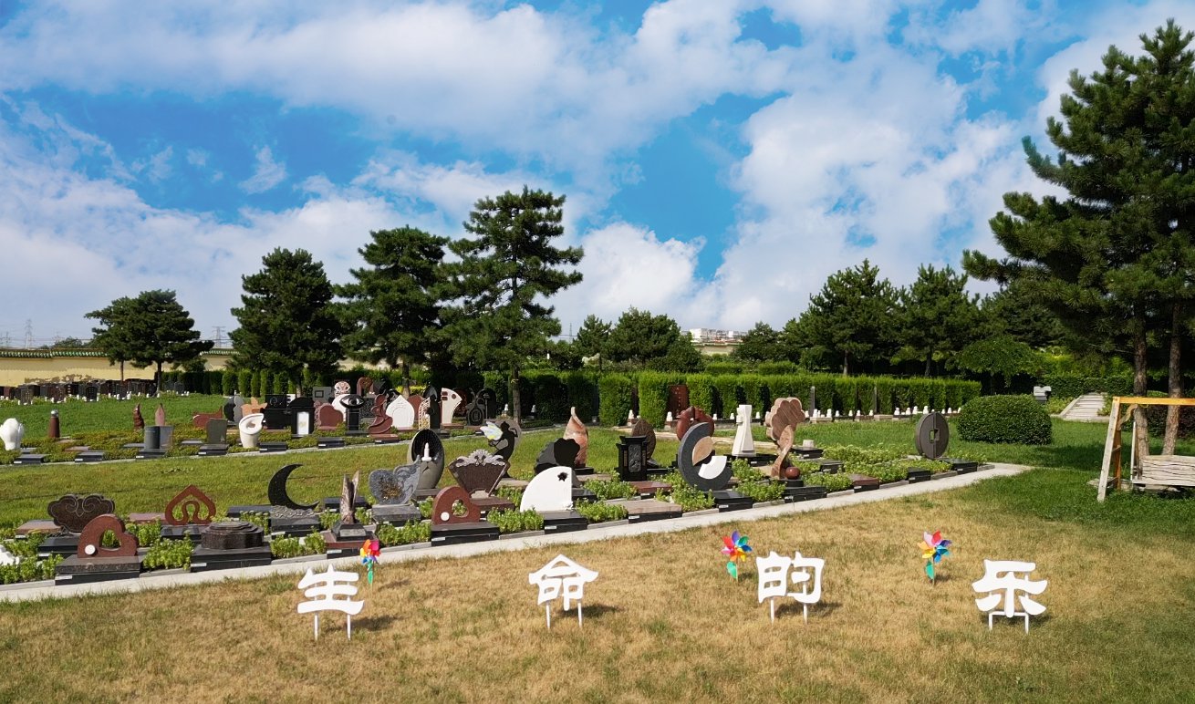 共赢之路：人生就是博官网集团BOT合作模式的优势与效益分析