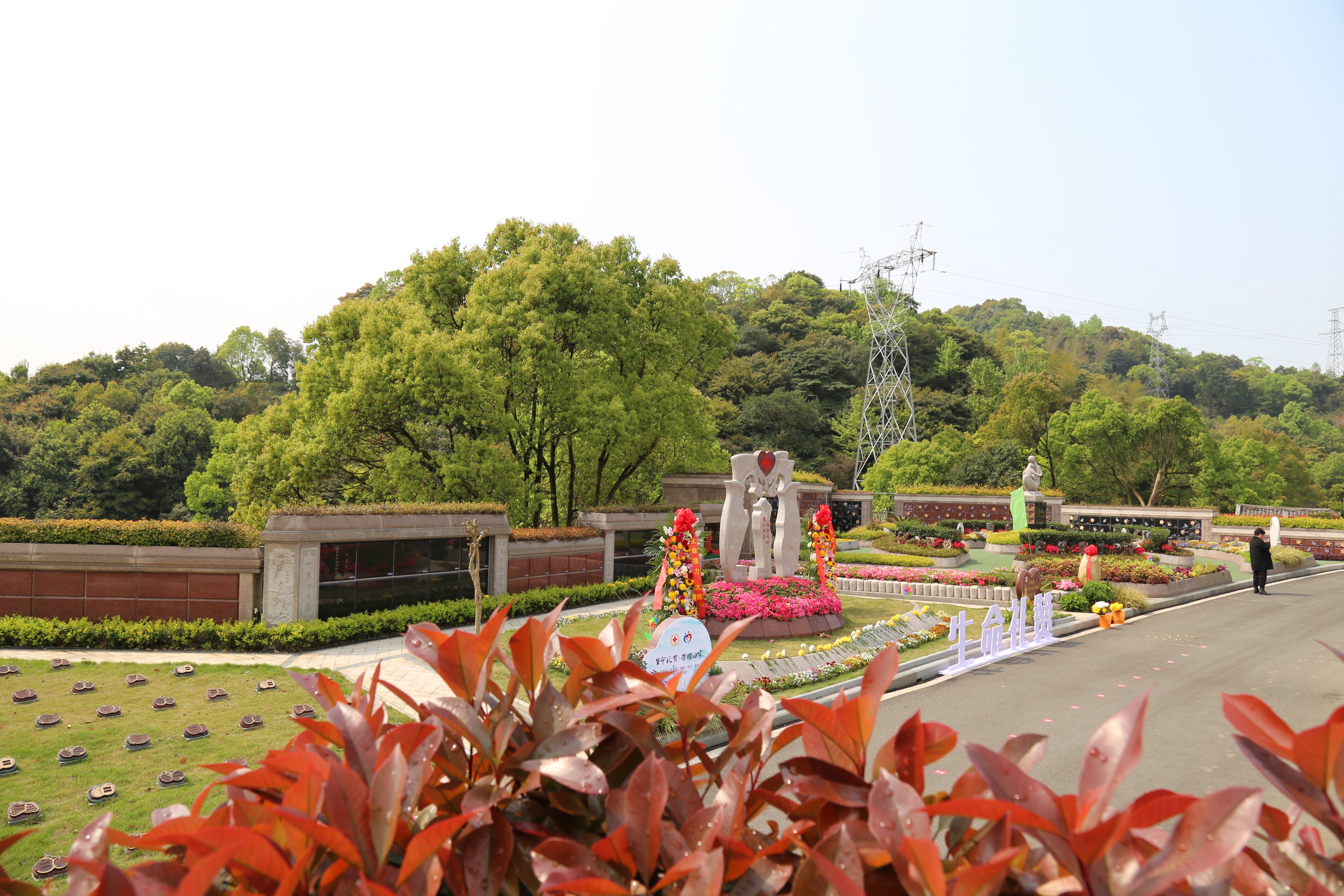 首页- 人生就是博中国官网入口