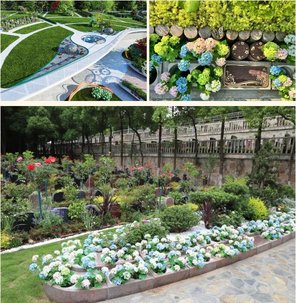 首页- 人生就是博中国官网入口