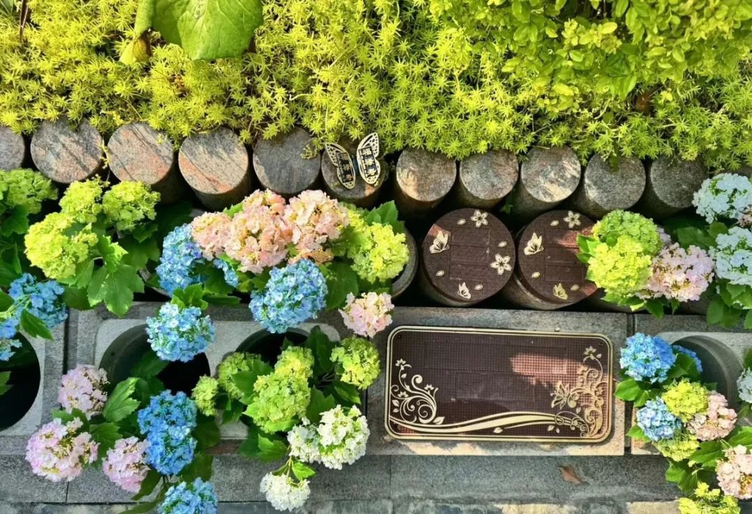 首页- 人生就是博中国官网入口