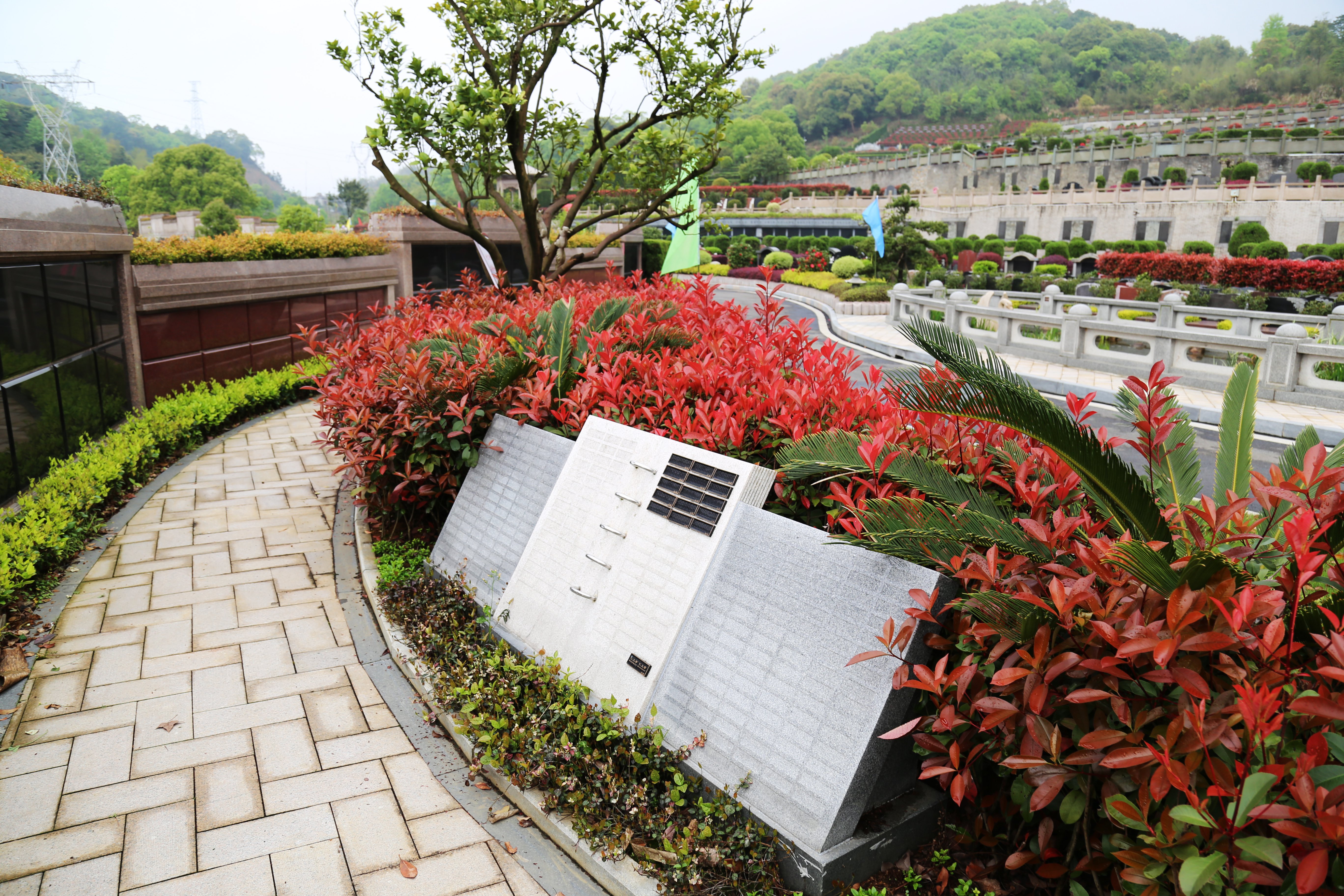 首页- 人生就是博中国官网入口