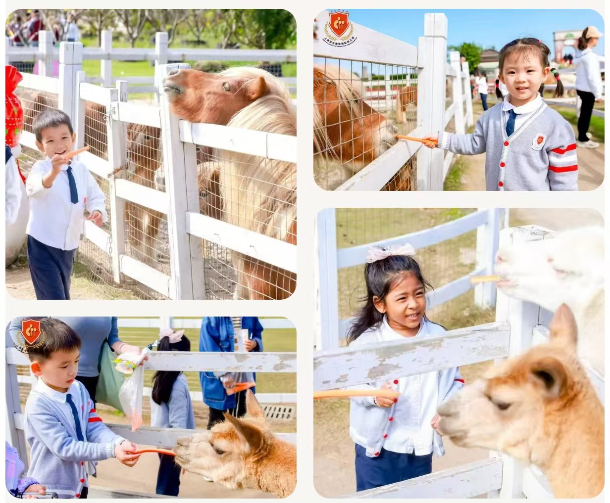 首页- 人生就是博中国官网入口