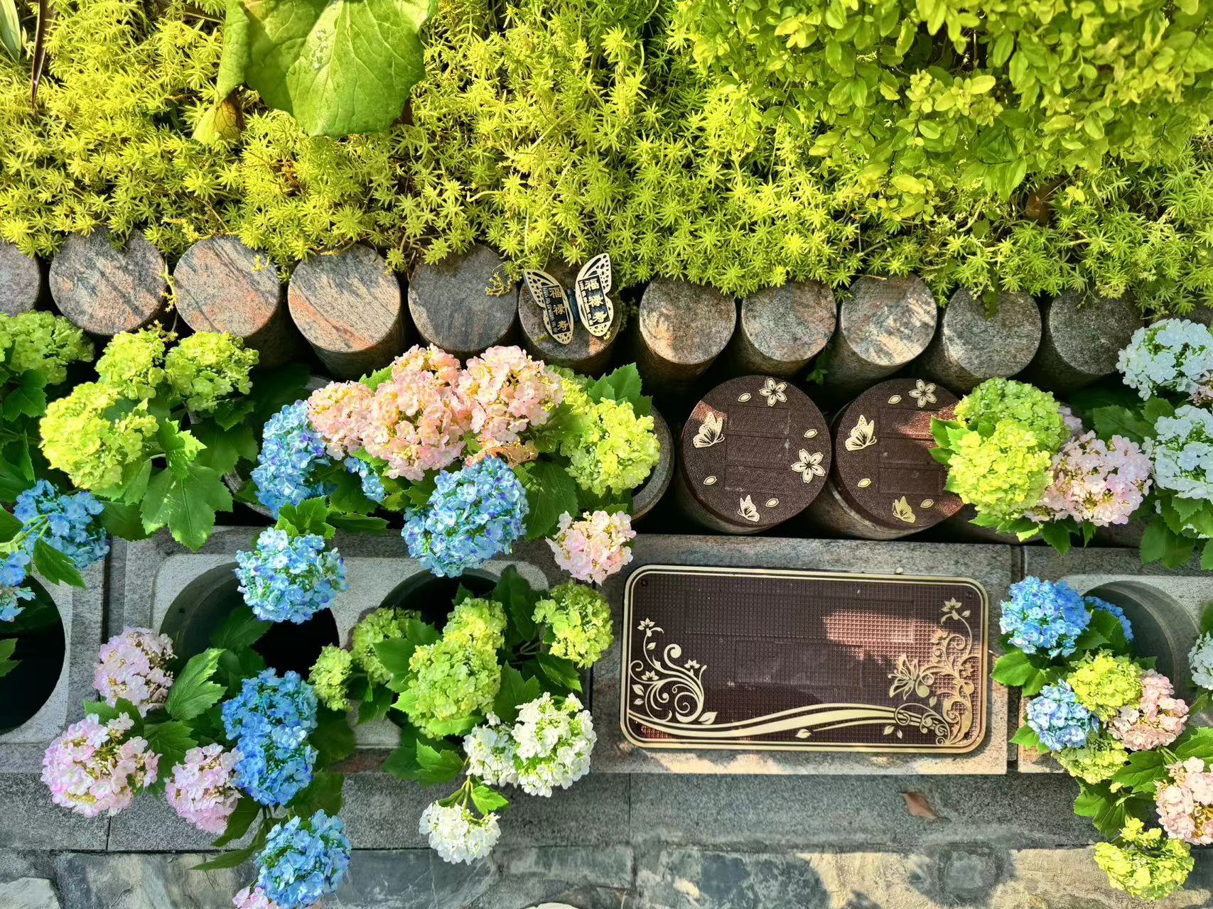 首页- 人生就是博中国官网入口