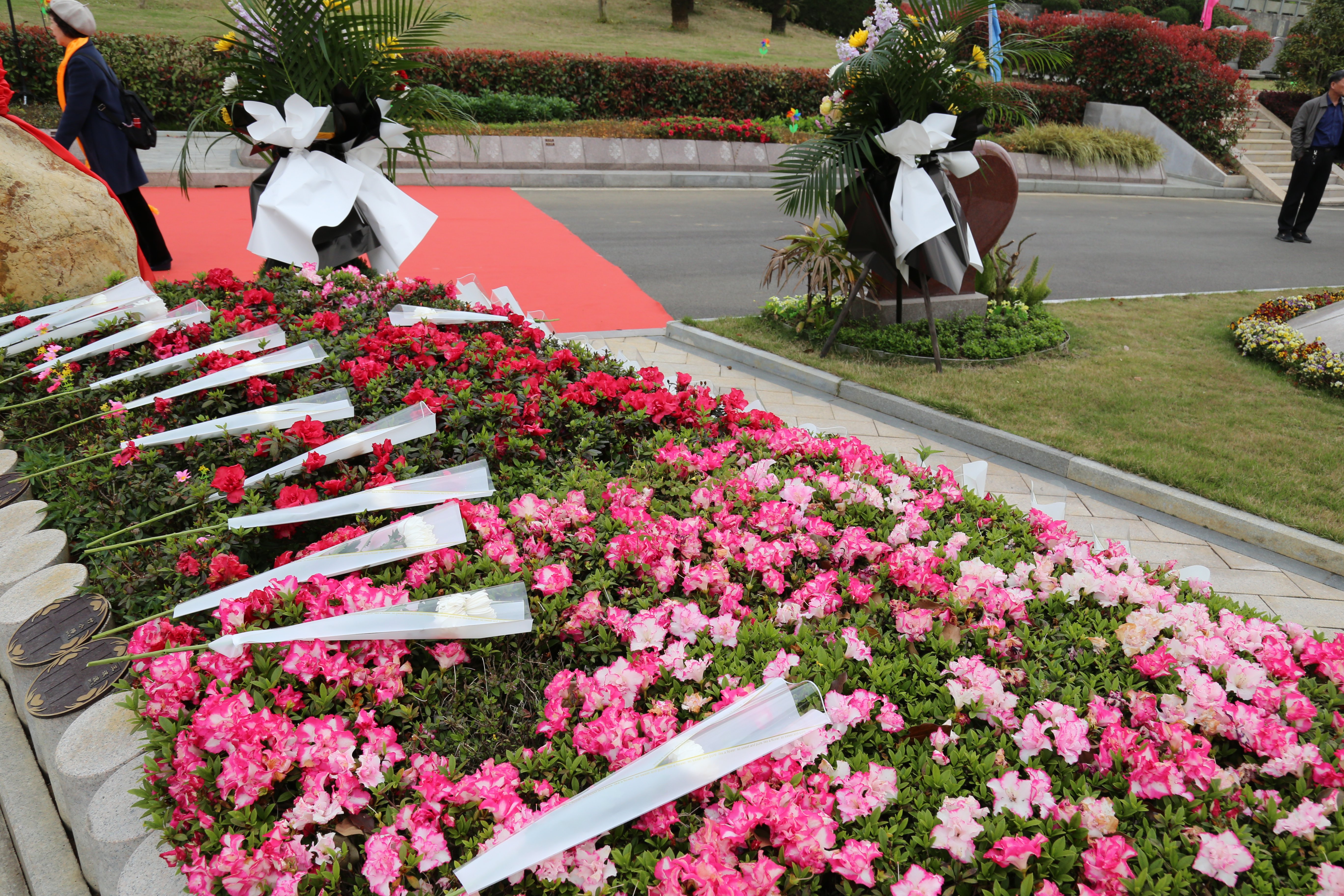 首页- 人生就是博中国官网入口