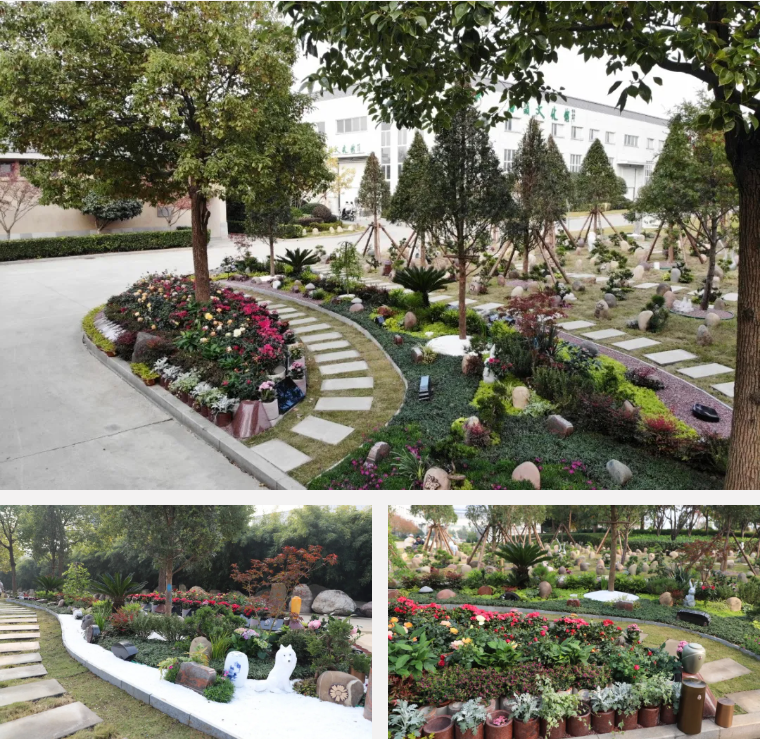 首页- 人生就是博中国官网入口