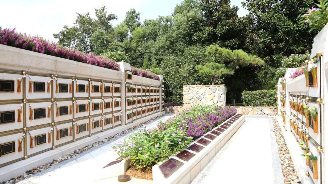 <b>在合肥大蜀山文化陵寝，与性命温顺对话</b>