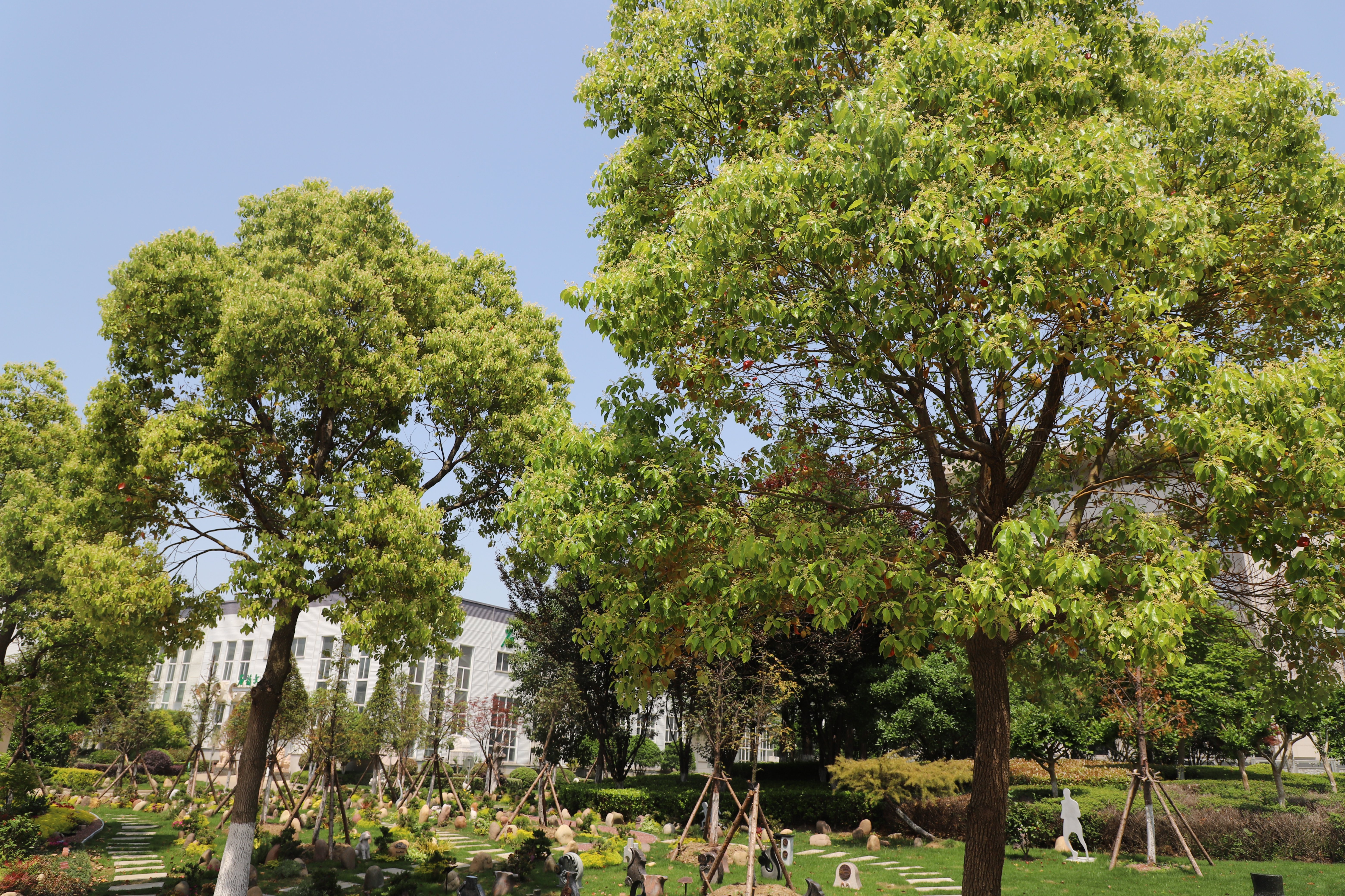 首页- 人生就是博中国官网入口